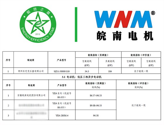 皖南電機(jī)YE4電機(jī)入選能效之星