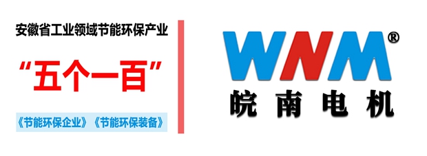 皖南電機(jī)入選2018年度安徽省工業(yè)領(lǐng)域節(jié)能環(huán)保產(chǎn)業(yè)“五個一百”推介目錄